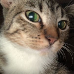 Meet your Posher, Mary